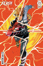 ABSOLUTE FLASH #3 (2025)