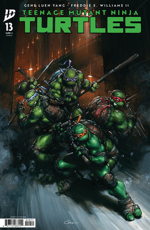 TEENAGE MUTANT NINJA TURTLES #13