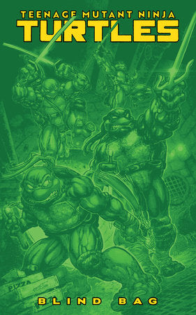 TEENAGE MUTANT NINJA TURTLES #13