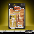 STAR WARS The Vintage Collection Padmé Amidala (Geonosis)