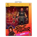 Street Fighter Akuma (Deluxe)