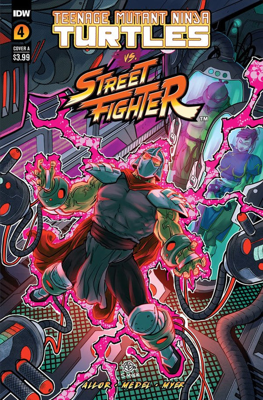 TEENAGE MUTANT NINJA TURTLES VS. STREET FIGHTER #4 (OF 5)